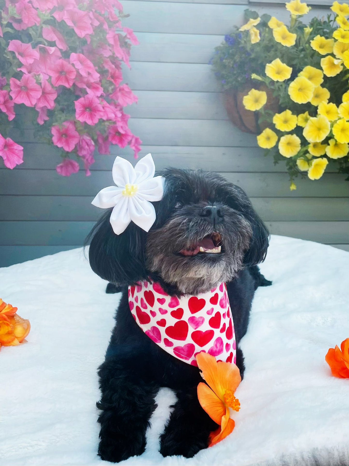 Standard Flower Bow