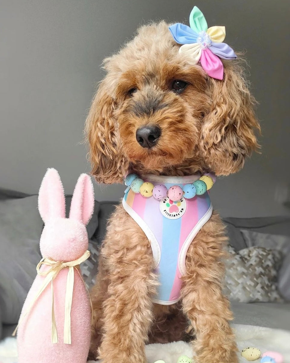 Spring Flower Bow