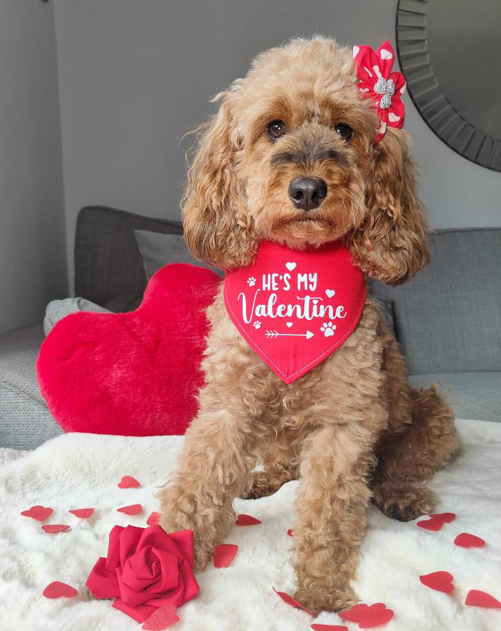 Custom Dog Bandanas