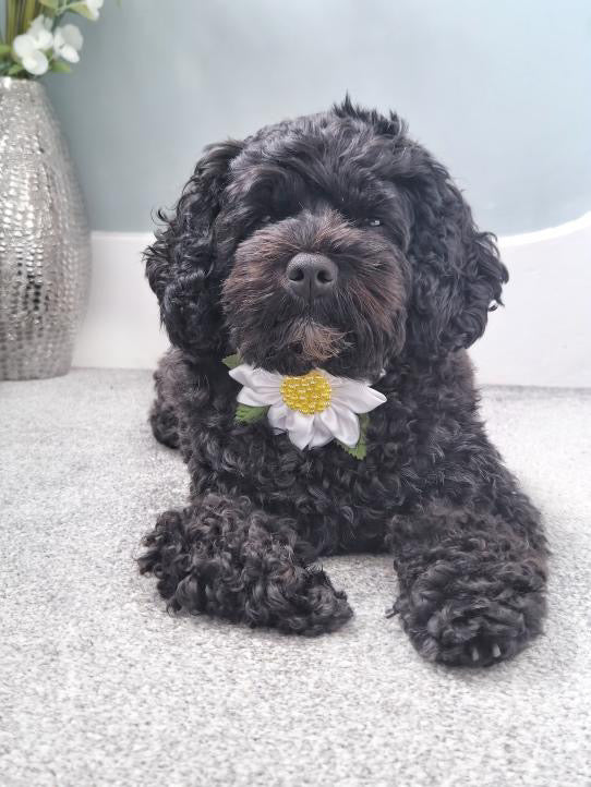 Daisy Flower Bow
