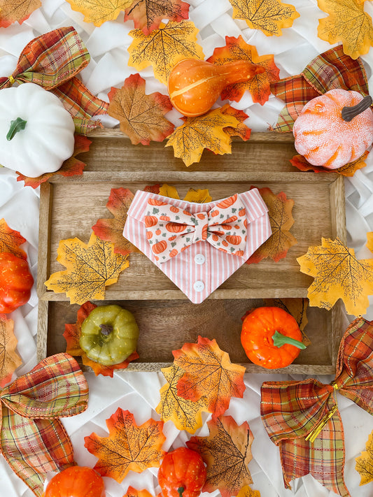 Autumn is Calling Jasper Bandana