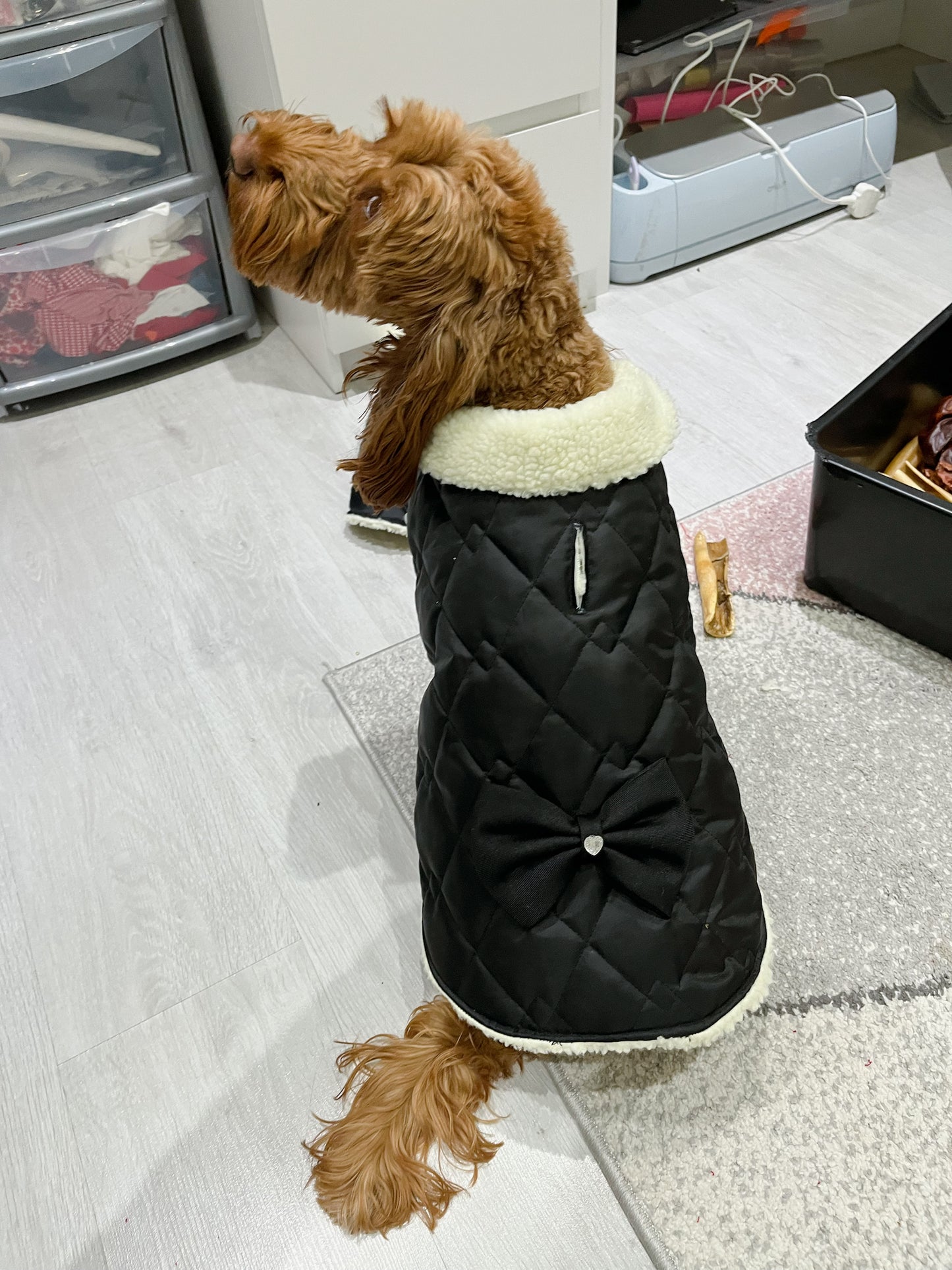 Design your own - Dog Coat