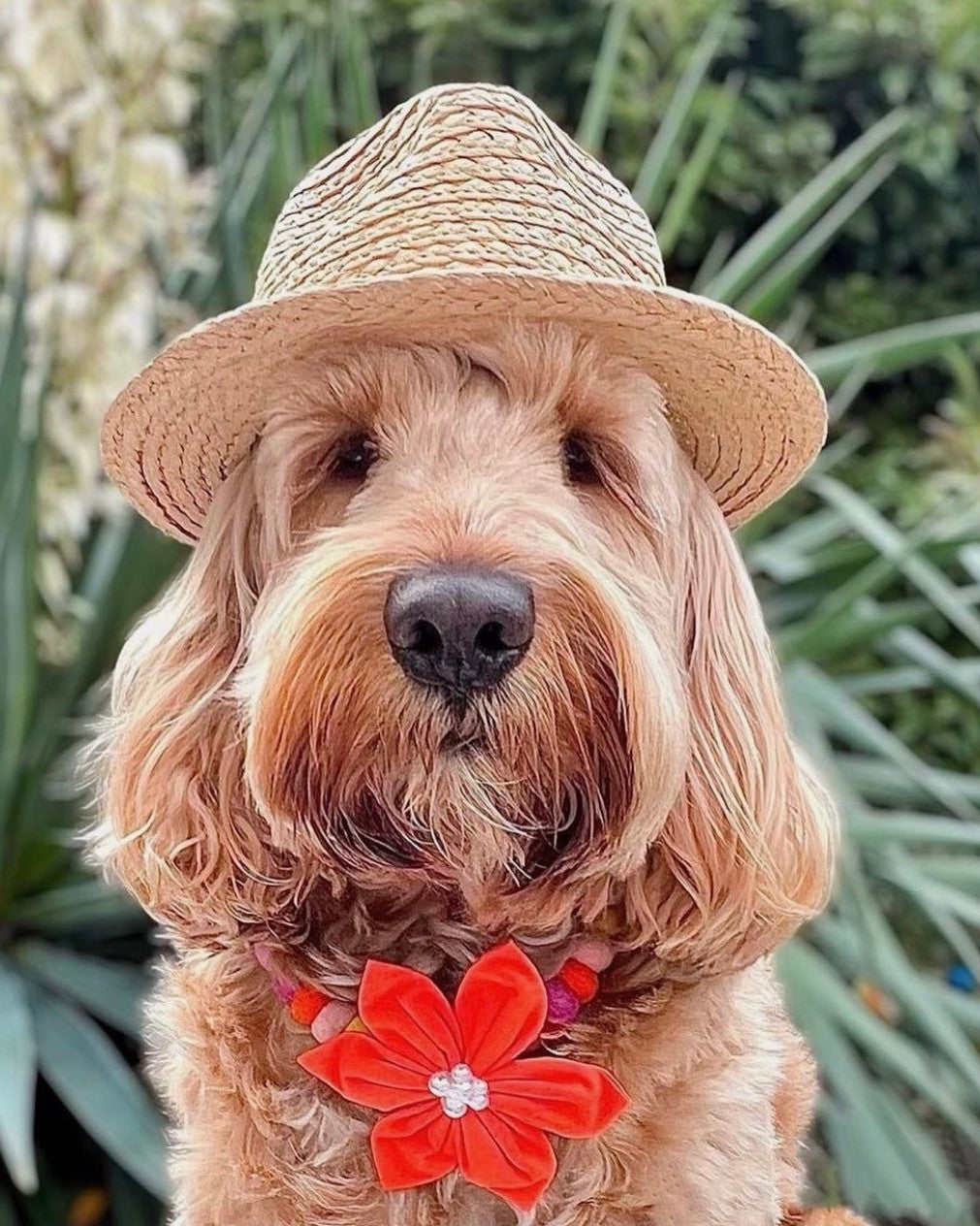 Standard Flower Bow