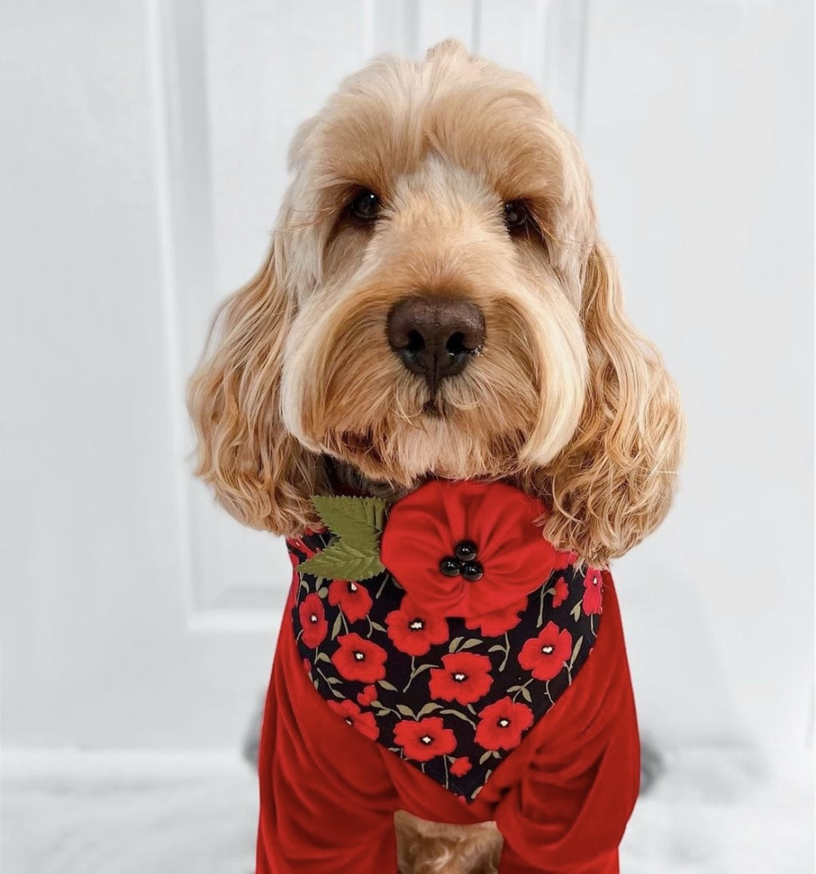 Poppie Flower Bow