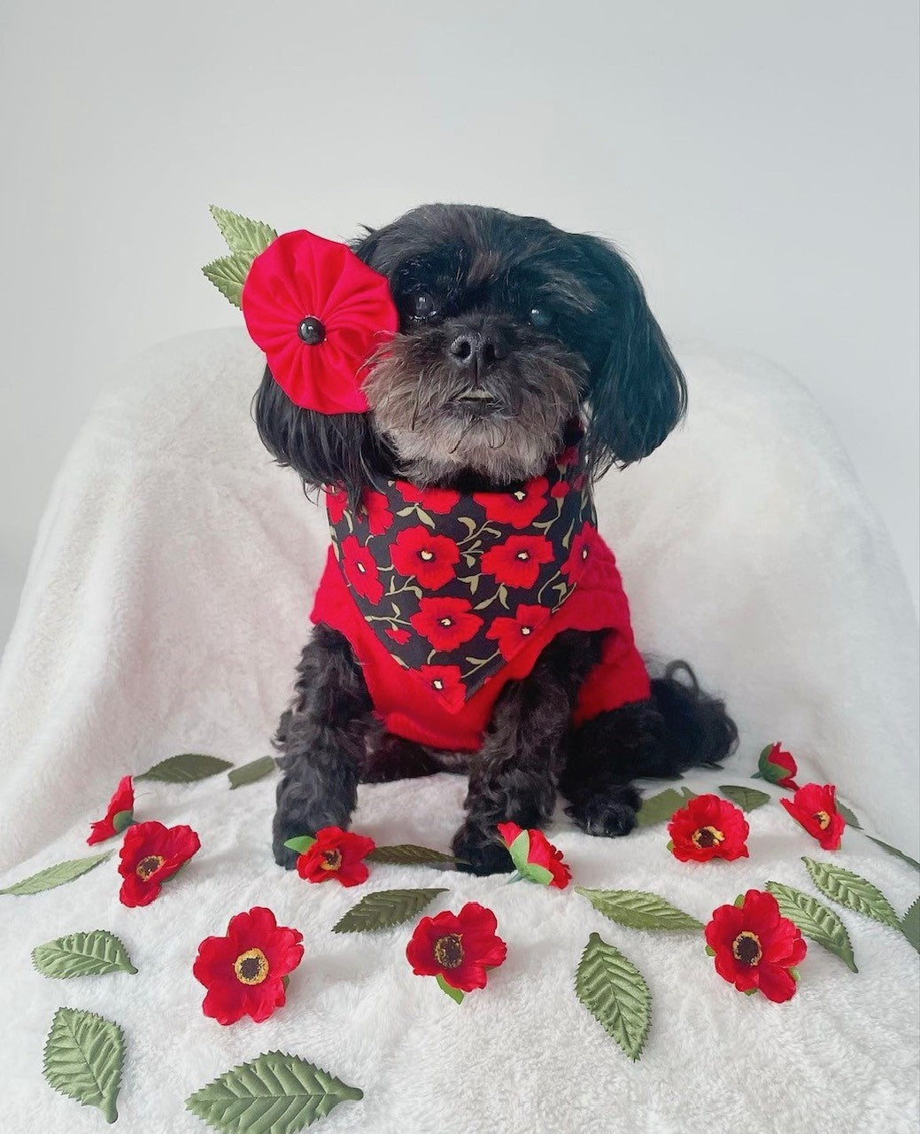 Poppie Flower Bow