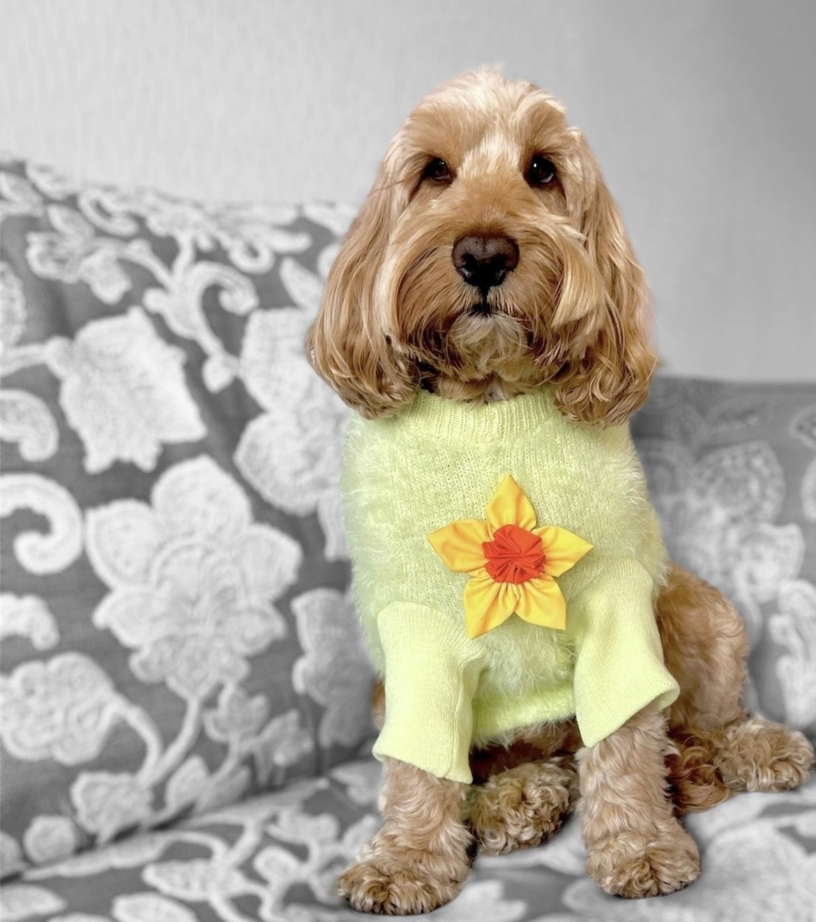 Daffodil Flower Bow