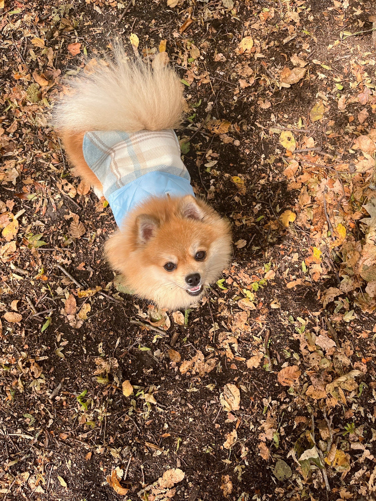 Design Your Own Coats