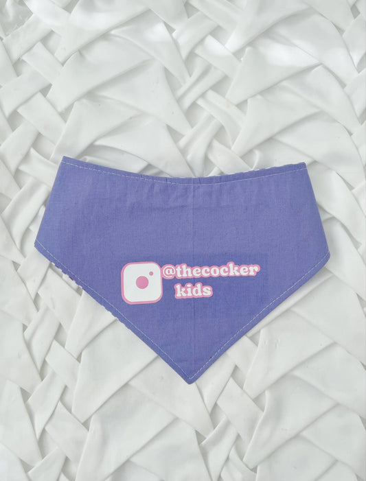 2 in 1 Insta Dog Bandana