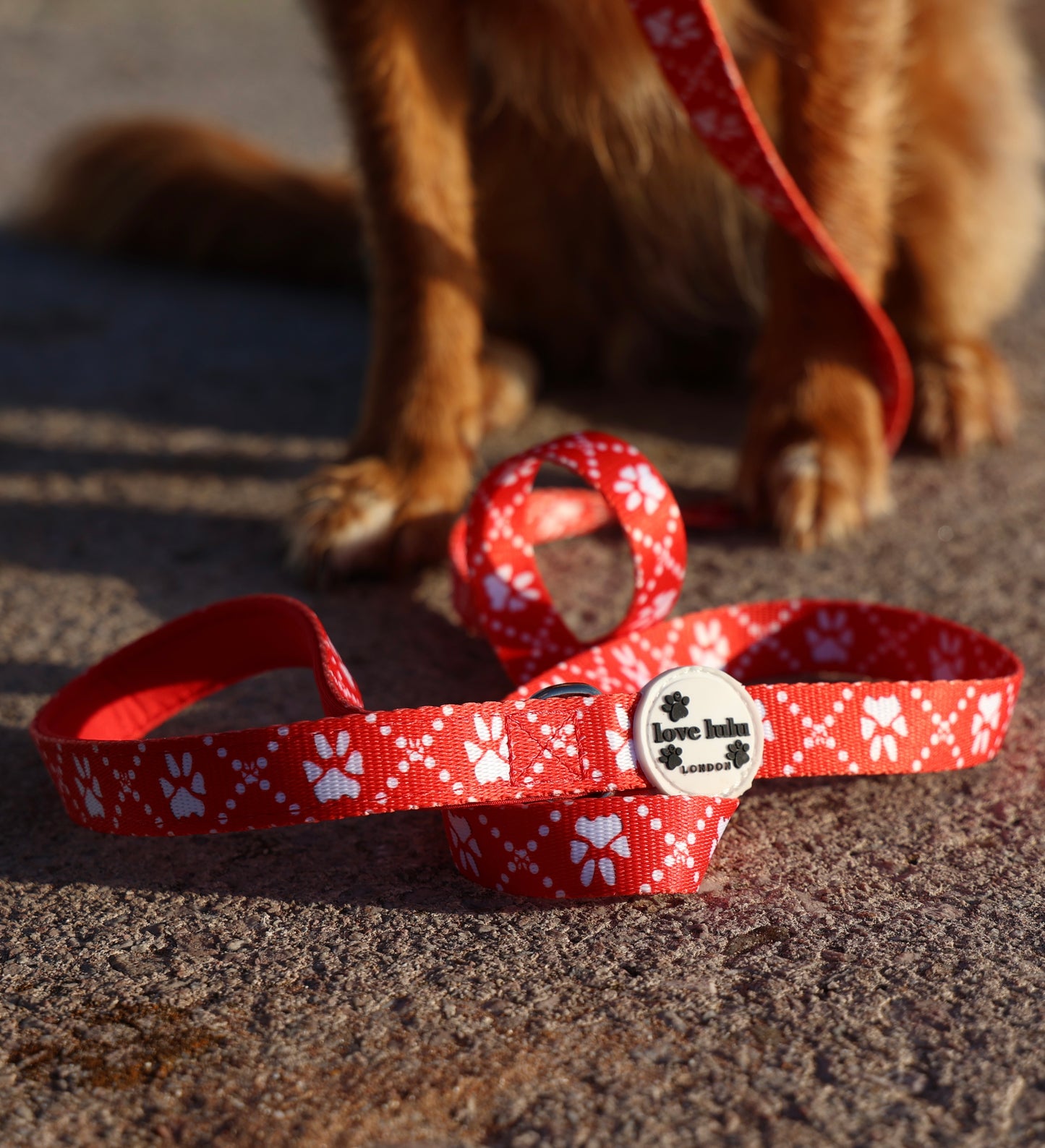 Poppy’s Tapping Paws - Dog Lead