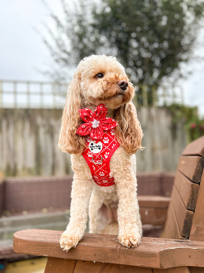 Poppy’s Tapping Paws - Dog Flower Bow