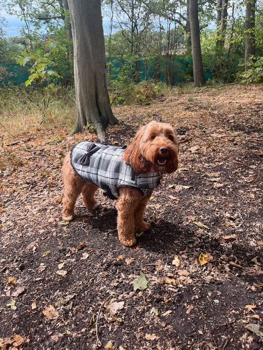 The Black Plaid Double Bow Coat
