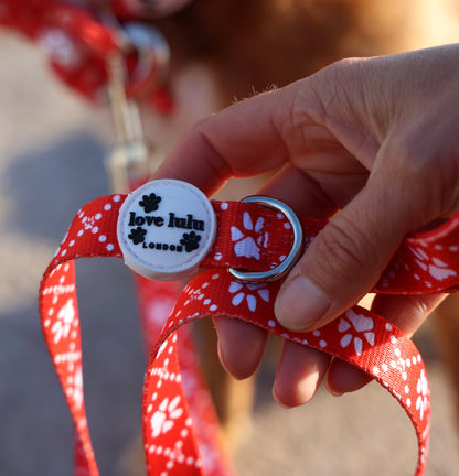 Poppy’s Tapping Paws - Dog Lead