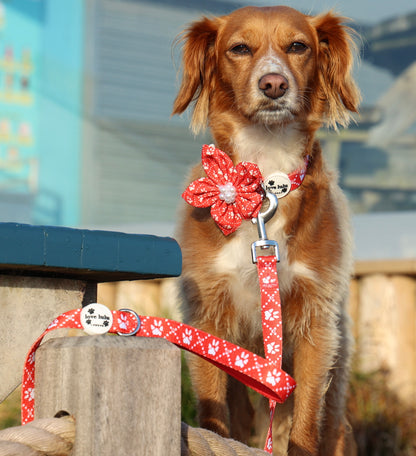 Poppy’s Tapping Paws - Dog Lead