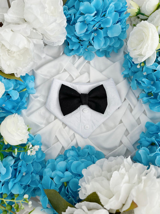 Love Stories - White Shirt and Black Bow Tie Bandana