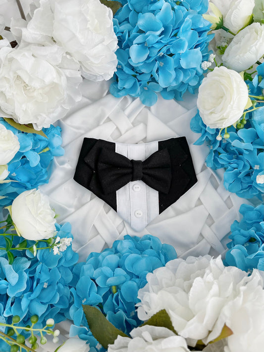 Love Stories - Tux Bandana