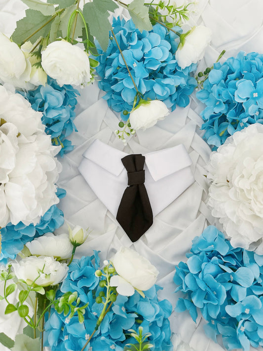 Love Stories - White Shirt and Black Tie Bandana