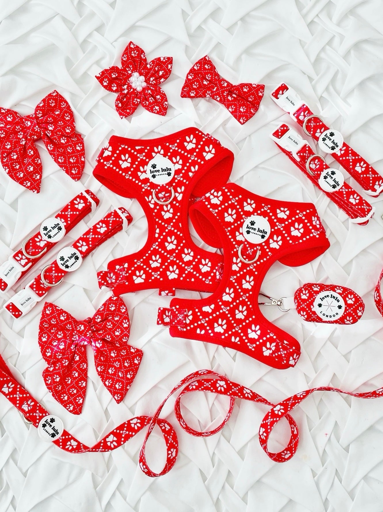 Poppy's Tapping Paws - Dog Harness