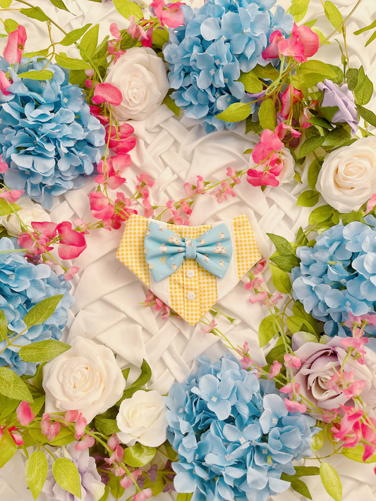 Spring Bloom - Noah Bandana