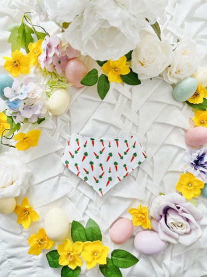 Hello Spring - Carrot 2 in 1 Bandana