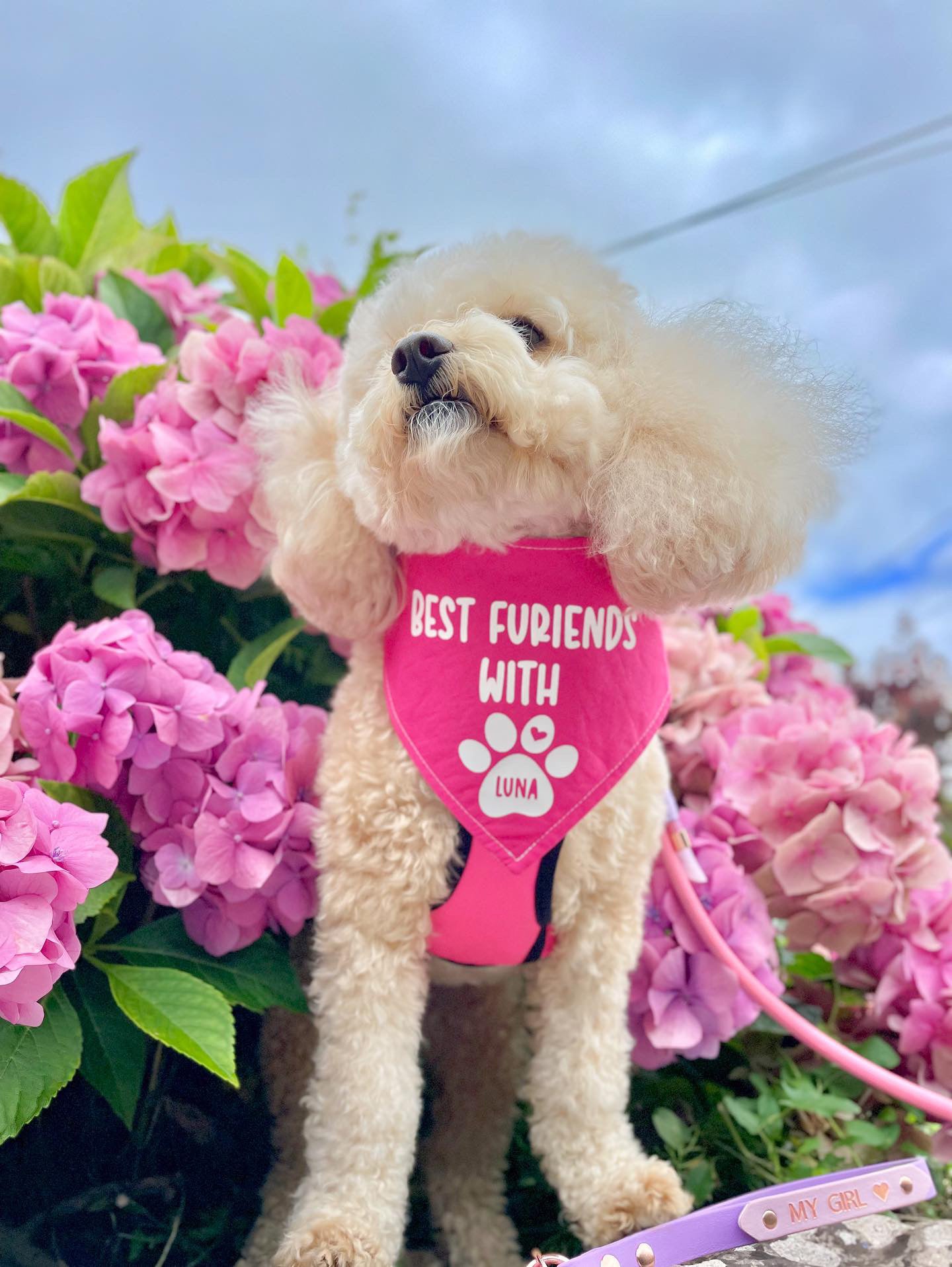 Personalised Best Friend Bandanas