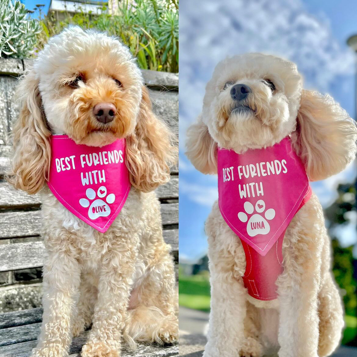 Personalised Best Friend Bandanas