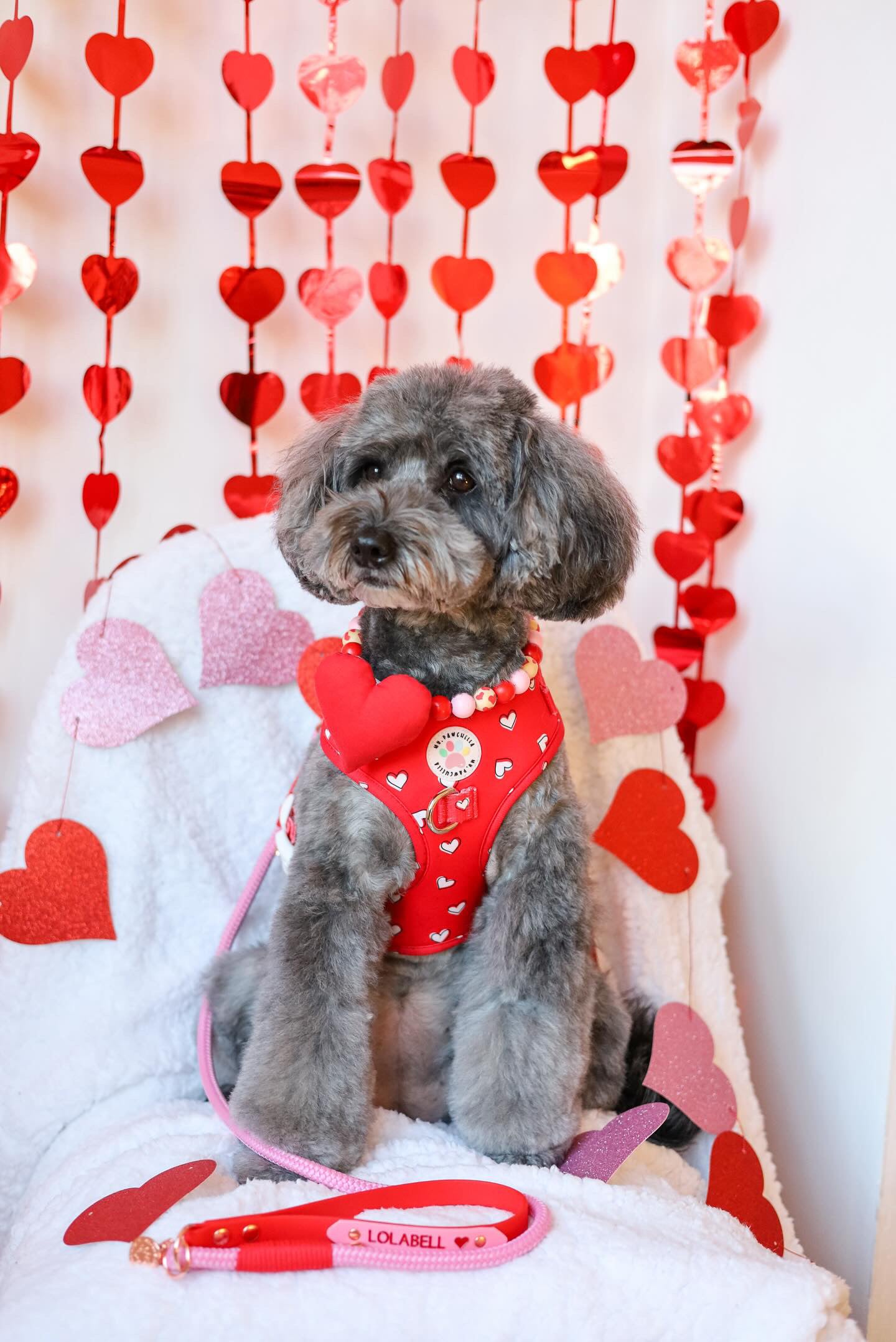 Red and Pink Heart Bow