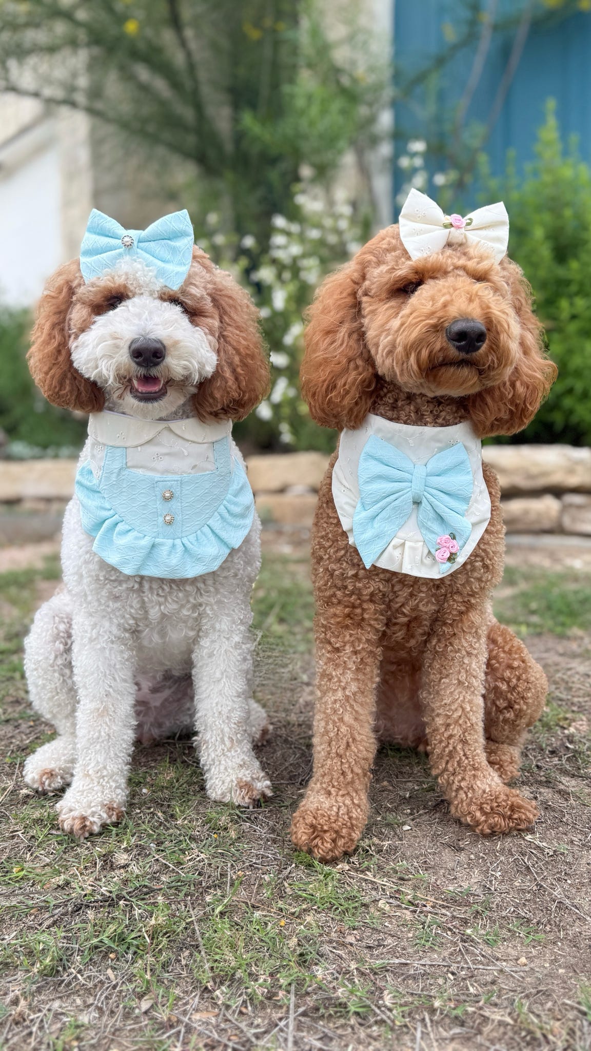 Pinafore Bandana