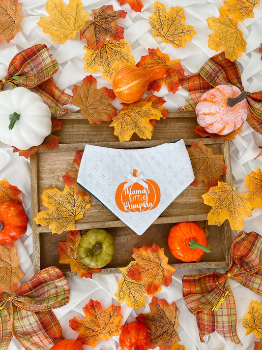 Autumn is Calling 2 in 1 Mamas Little Pumpkin Personalised Bandana