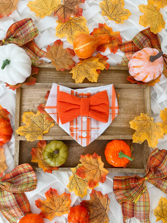 Autumn is Calling - Bruno Bandana
