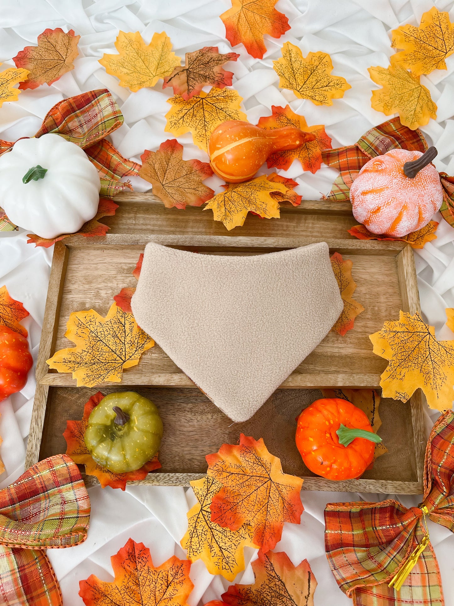 Autumn is Calling - Cutest Pumpkin 2 in 1 Bandana