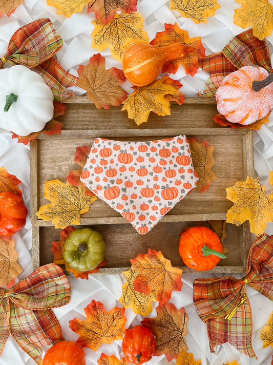 Autumn is Calling - 2 in 1 Pumpkin and Cream Knit Bandana