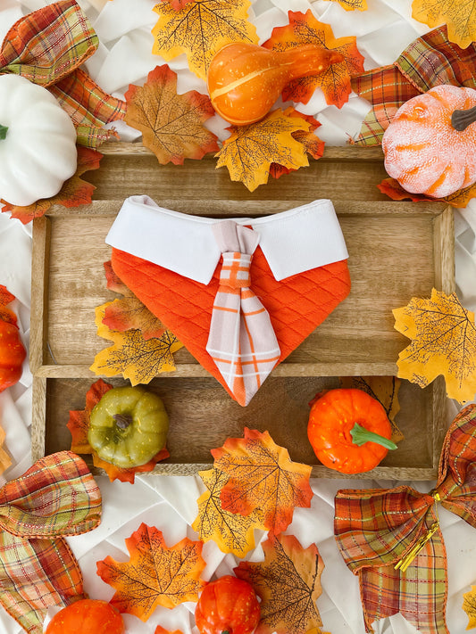 Autumn is Calling - Aspen Bandana