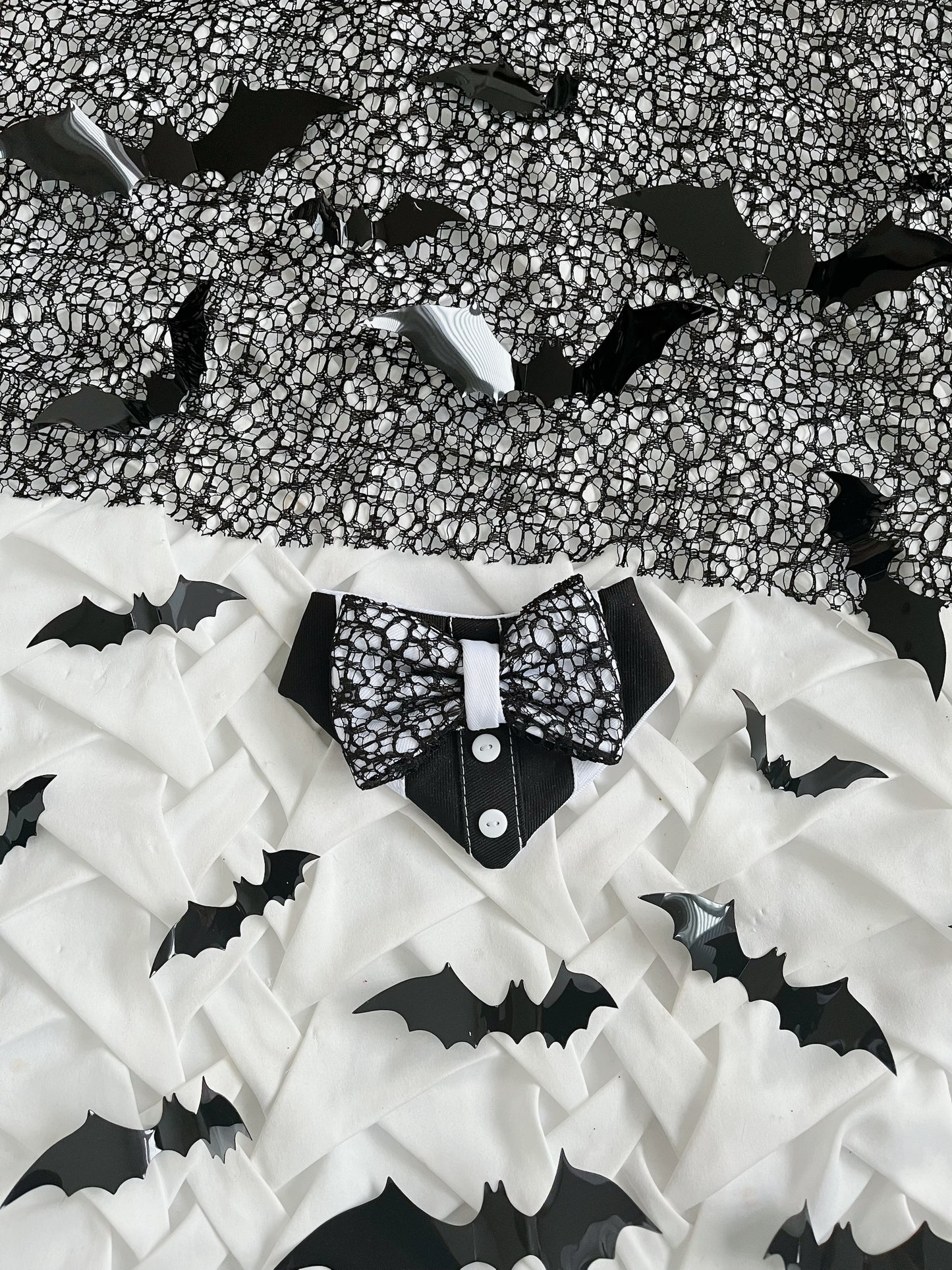 Howl-o-ween - Spider Shirt Bandana
