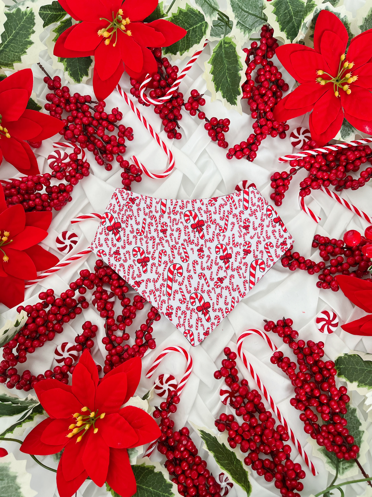 Christmas - Candy Cane 2 in 1 Bandana