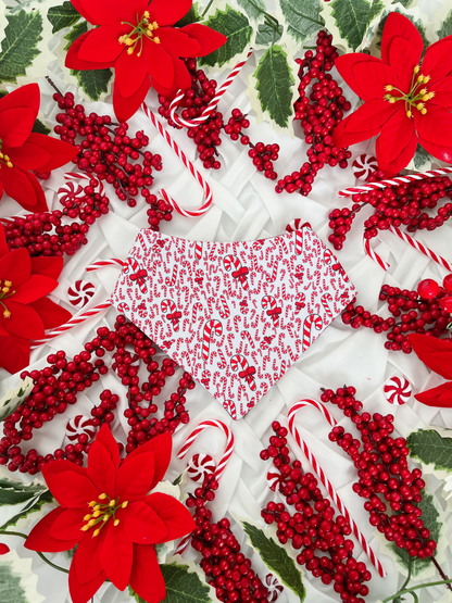 Christmas - Candy Cane 2 in 1 Bandana
