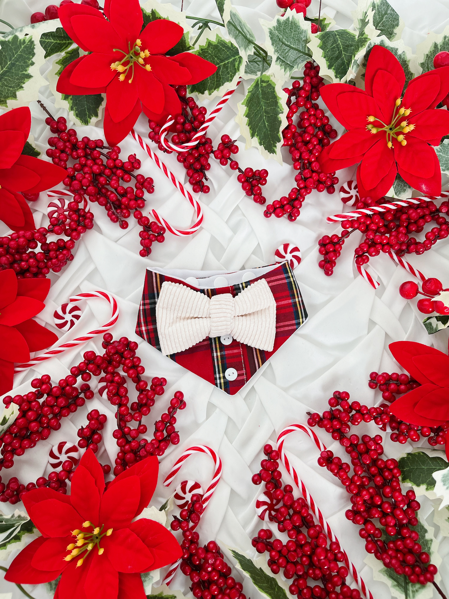 Christmas - Tartan Shirt Bandana