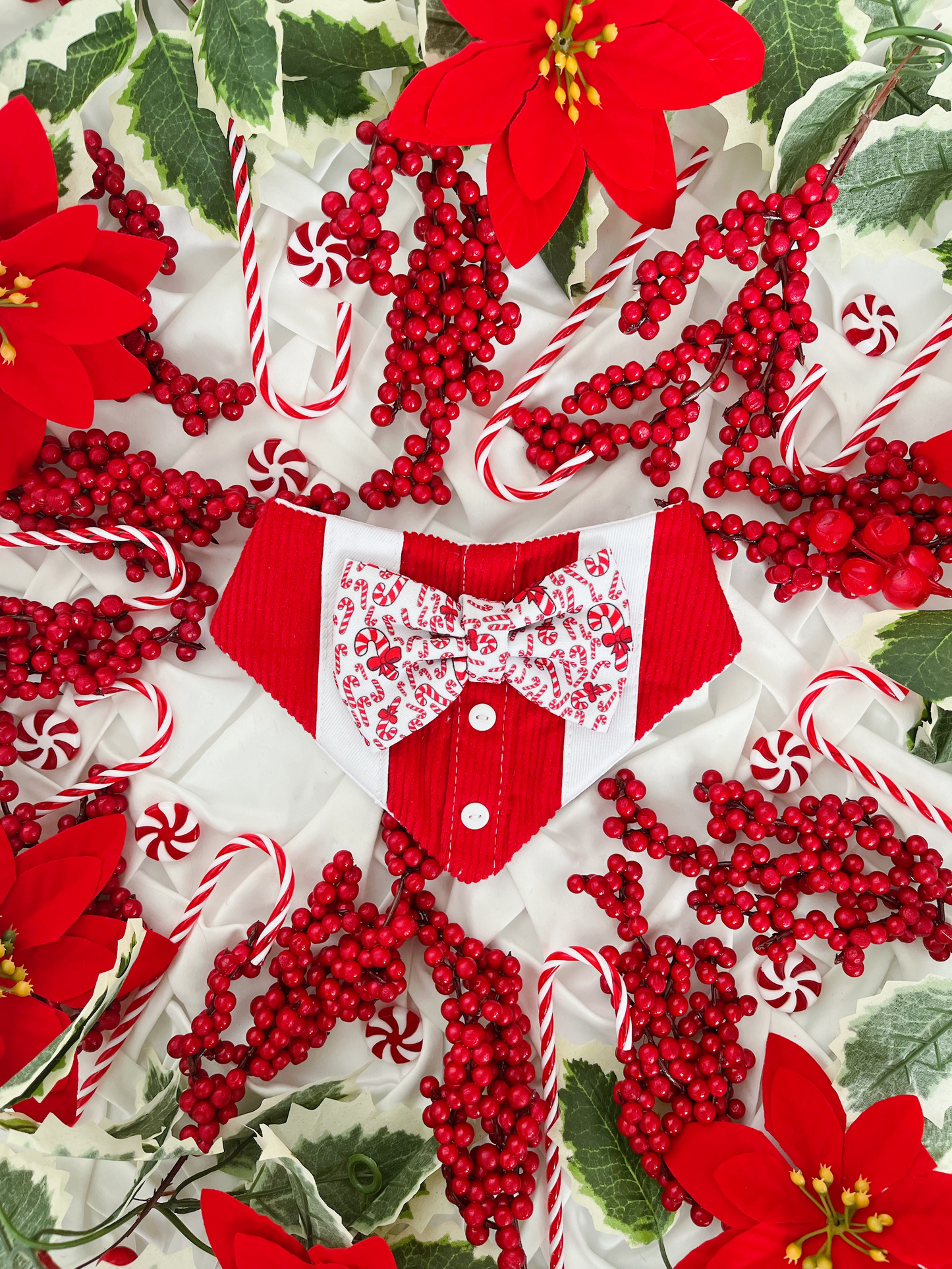 Christmas - Candy Boy Bandana