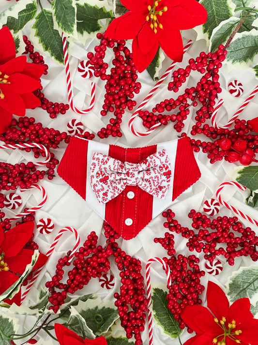 Christmas - Candy Boy Bandana