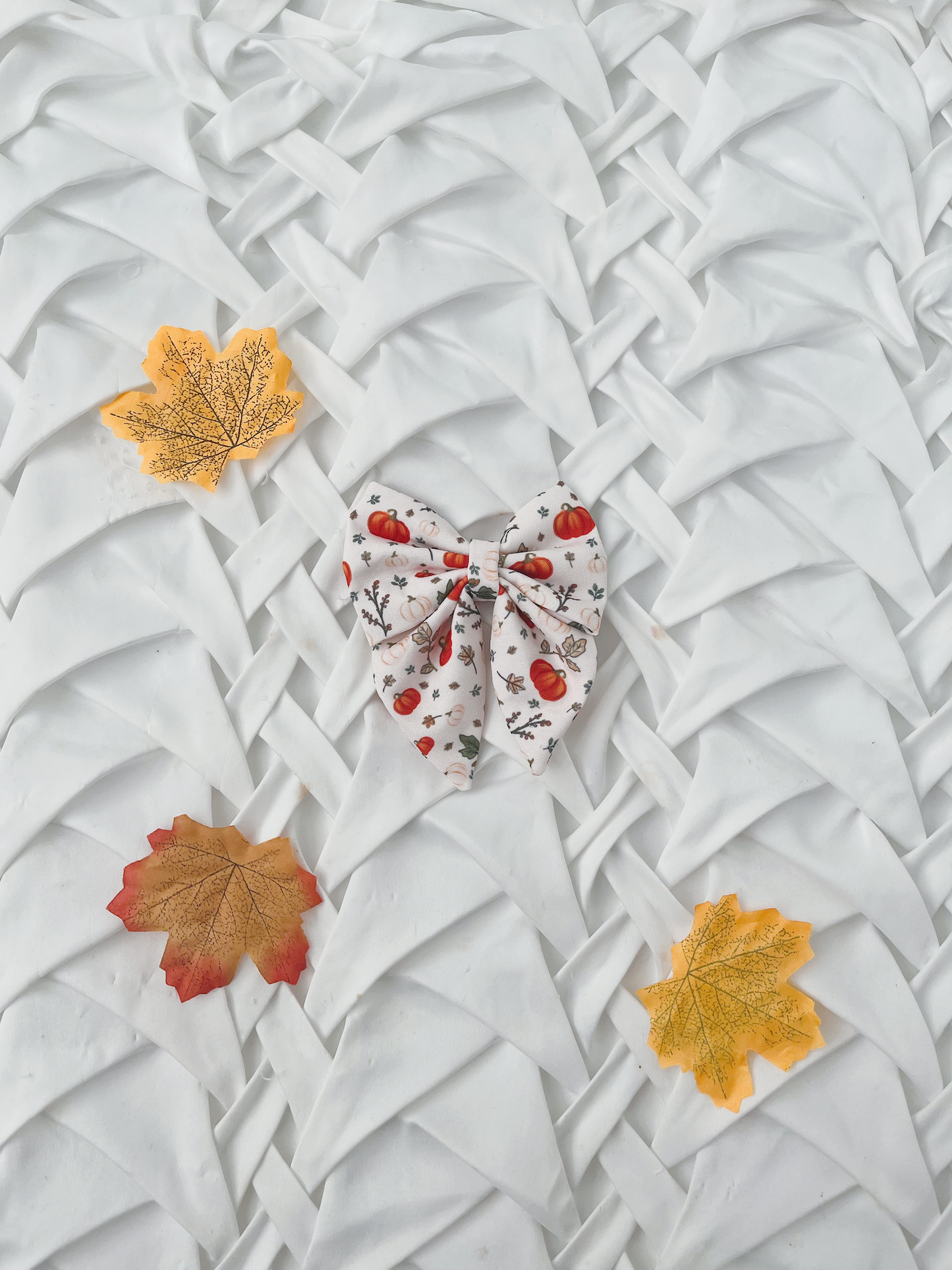Autumn Edit - Pumpkin Pattern