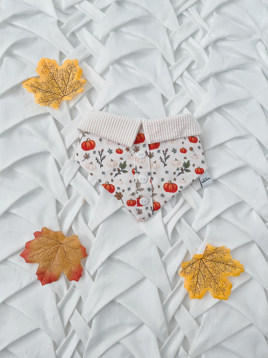 Pumpkin Shirt Bandana