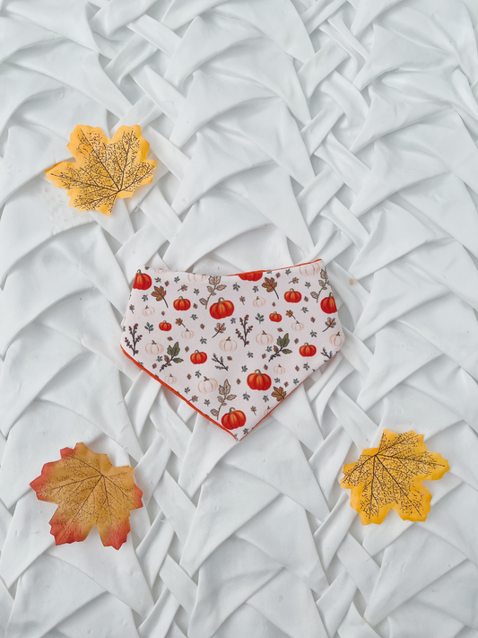 Pumpkin 2 in 1 Bandana