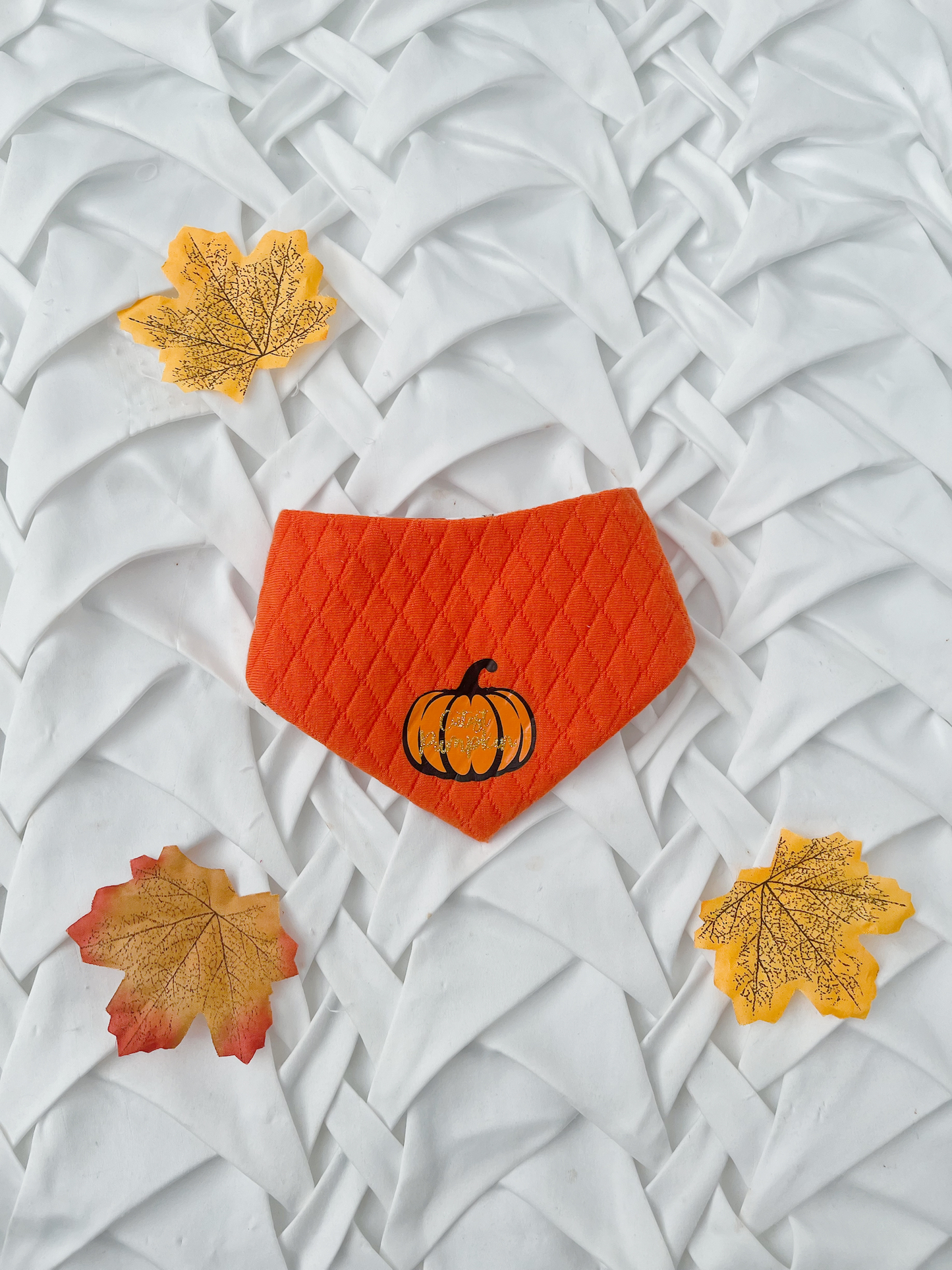 Pumpkin 2 in 1 Bandana