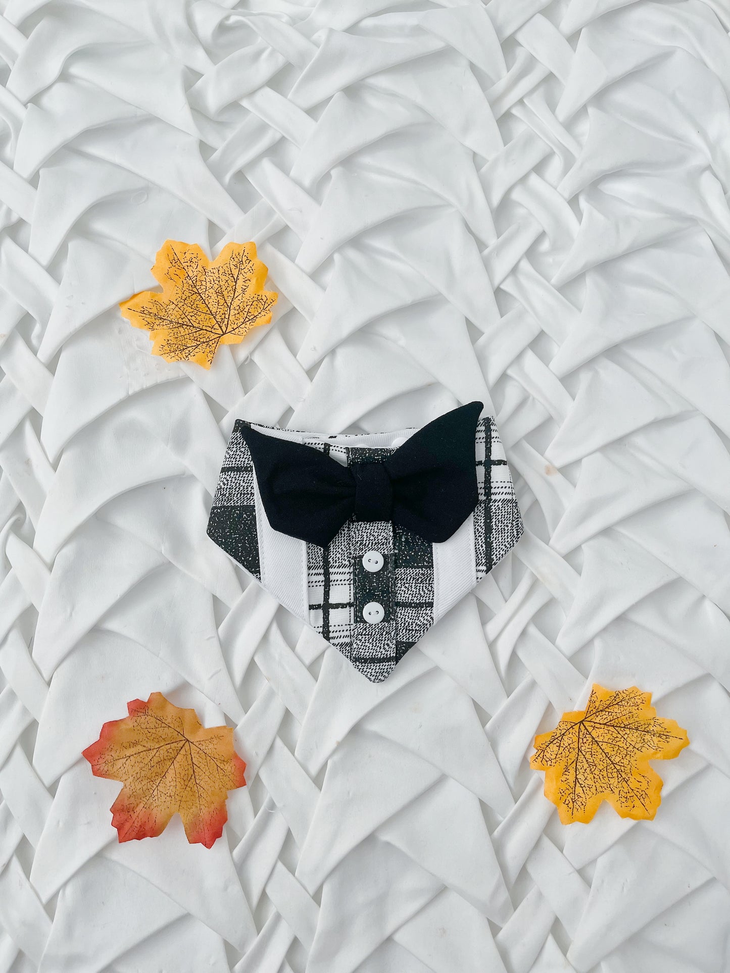 Howl-o-ween Shirt Bandana